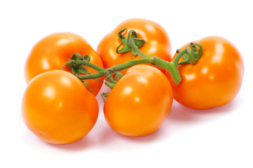tomato