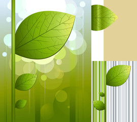 Background with leaf