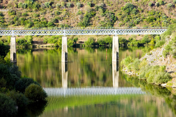 Fototapeta na wymiar railway viaduct in Douro Valley, Portugal