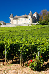 Fototapeta na wymiar Chateau de Rully with vineyards, Burgundy, France