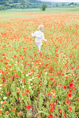 little girl on summer meadow in blossom