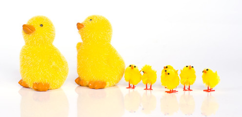 famille de poussins © Magalice