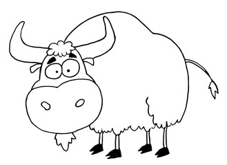 Black And White Yak