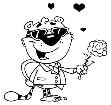 Black And White Tiger Holding A Box Of Candies And A Rose