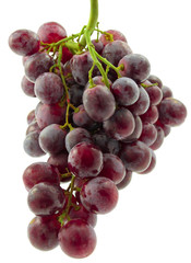 grappe de raisin rose