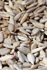 Sunflower seeds