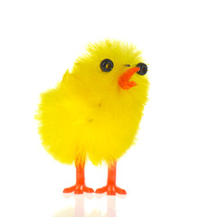 Yellow easter chick