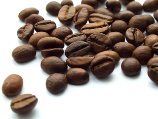 Coffee beans on white background