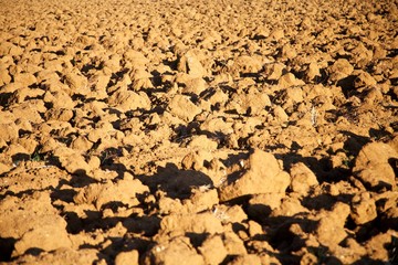 brown cultivation earth