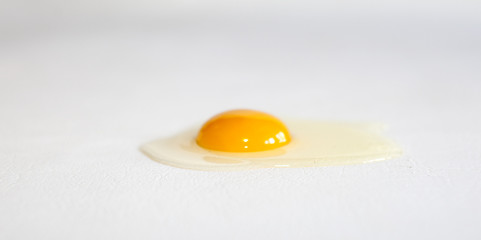 l'oeuf