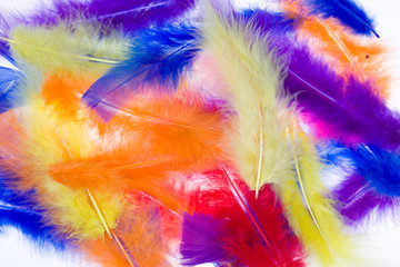 Feathers