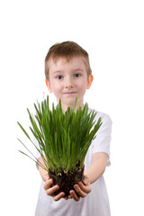 Boy holds a  plant