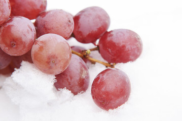 Red Grapes In Snow