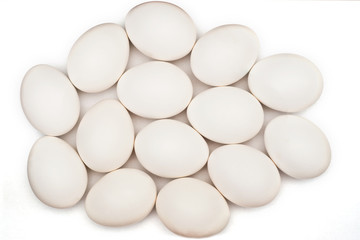 eggs