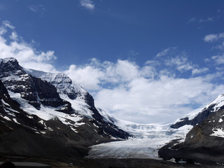 Obraz premium Athabasca Glacier in the Columbia Icefield Jasper Canada
