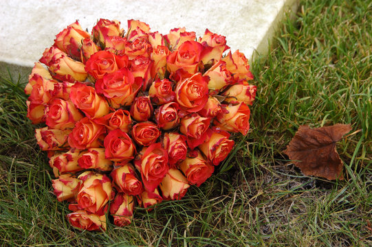 Herz aus Rosen