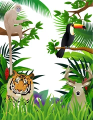 Poster Zoo dier in het bos