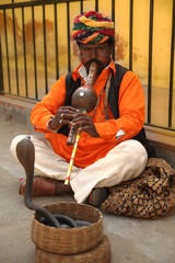 Snake Charmer