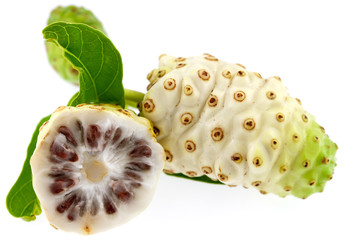 fruits du morinda citrifolia, noni, malaye, pomme-chien