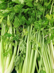 Bunch of celery sticks
