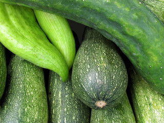 fresh trays of zucchinis and cucumber