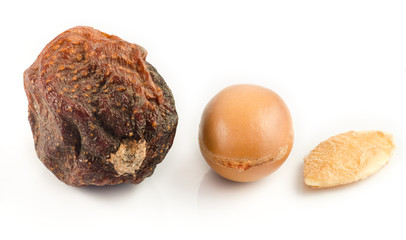 Argan fruits with nut, with shell and argan almond