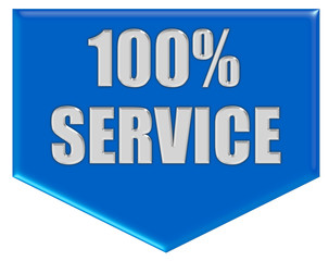 Button blau Pfeil unten 100% SERVICE