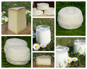 Des produits laitiers et fermiers