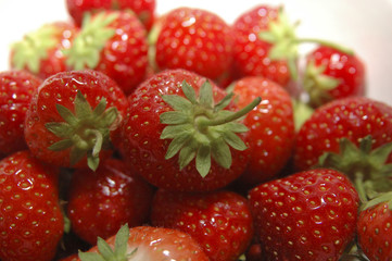 Erdbeeren