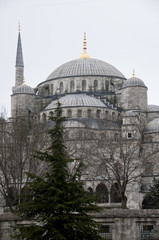Fototapeta na wymiar Blaue Meczet - Istanbul / Türkei