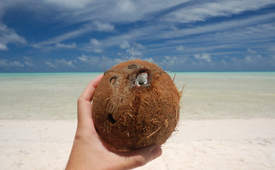Hand holding a coconut on a tropical beach