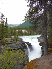 Athabasca Glacier in the Columbia Icefield Jasper Canada