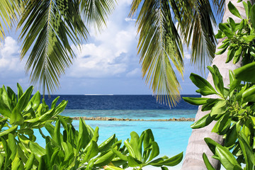 Tropical Paradise Maldives Holiday Dream_0077.jpg