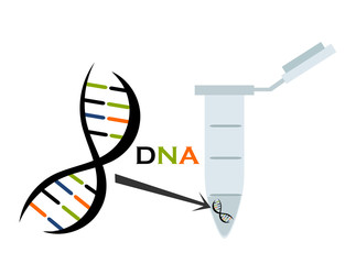 DNA research