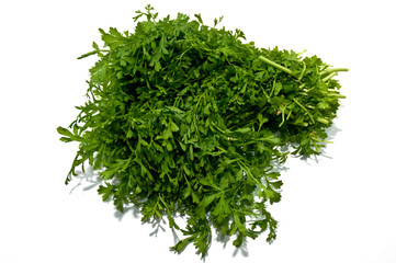 Rucola isolated on white background .