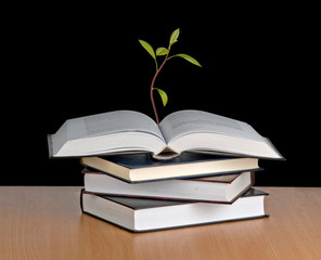 Avocado sapling growing from open book