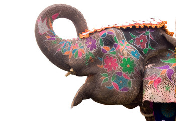 Éléphant peint à la main coloré , Holi festival , Jaipur, Rajasthan, Inde