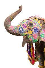 Naklejka premium Colorful hand painted elephant , Holi festival , Jaipur, Rajasthan, India 