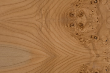 holz