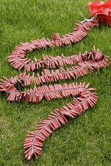 firecrackers  1.