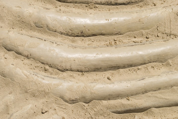 Dinosaur fossils in the sand