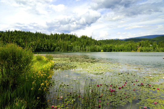 Dutch Lake, Clearwater, British Columbia, Canada