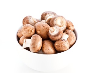 frische braune Champignons