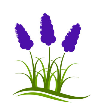 Lavender clip art preview