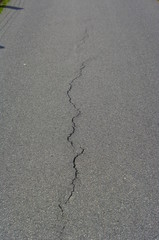Riss in Straßenbelag 2