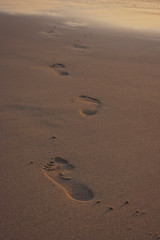 Footprints on beach.