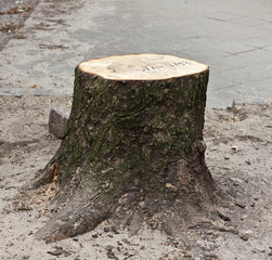Baumstumpf mit Aufschrift 