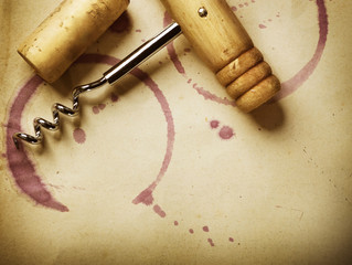 Vine design concept. Vintage styled
