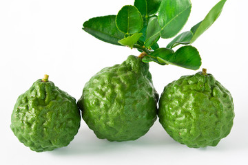 Fototapeta premium citrus hystrix