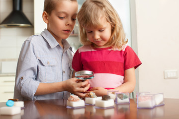 Children are considering a magnifying glass collection of stones